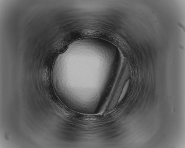 X0000091240653200708301540