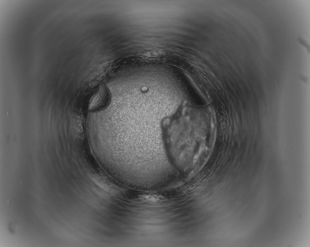 X0000091240654200708301540