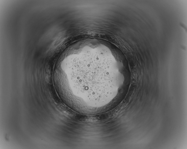 X0000091240656200708301540