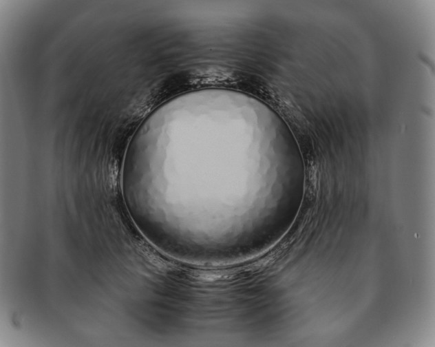 X0000091240657200708301540