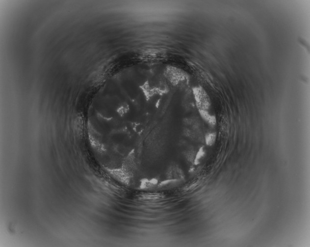 X0000091240659200708301540