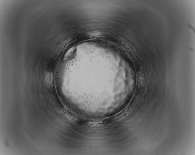 X0000091240660200708301540