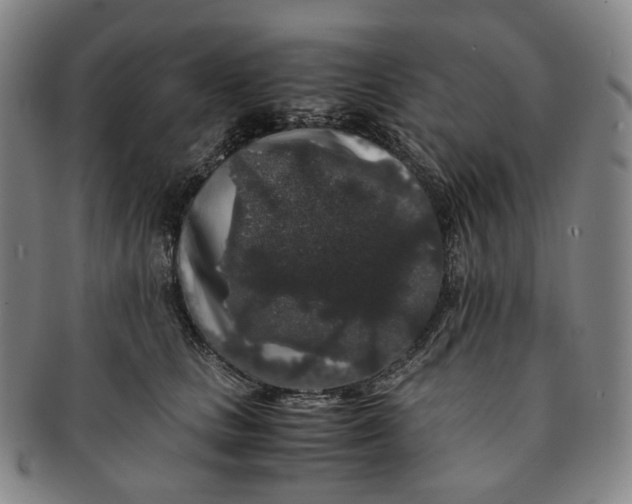 X0000091240661200708301540