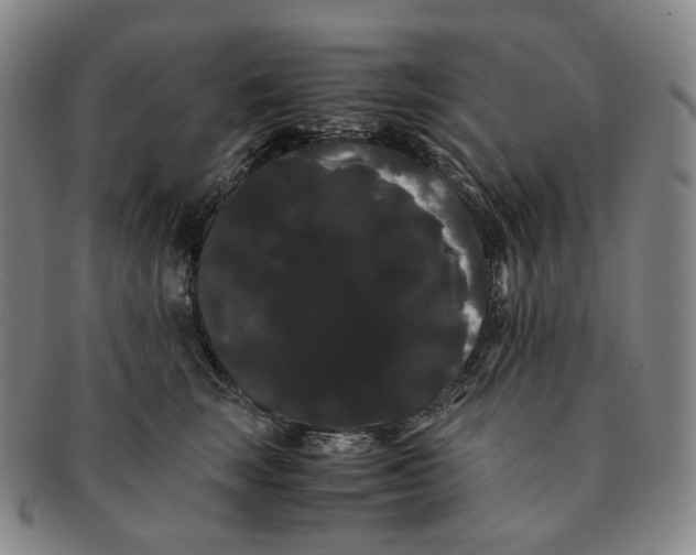 X0000091240663200708301540