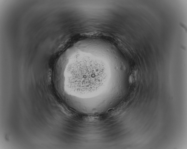 X0000091240664200708301540