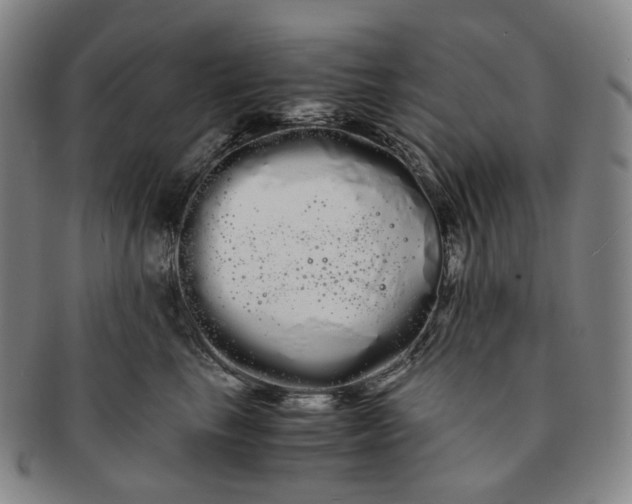 X0000091240665200708301540