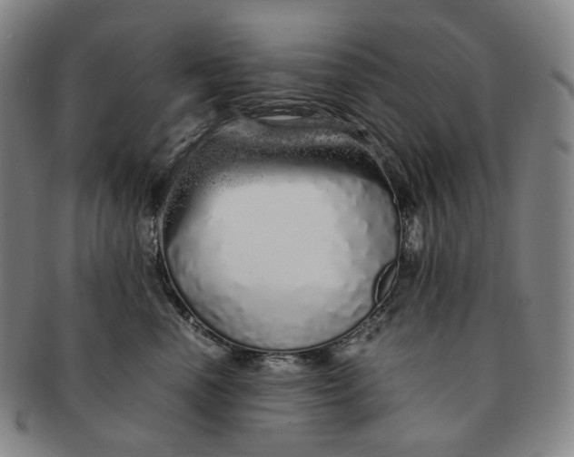 X0000091240666200708301540