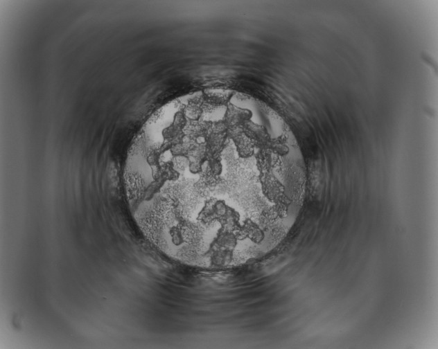 X0000091240667200708301540