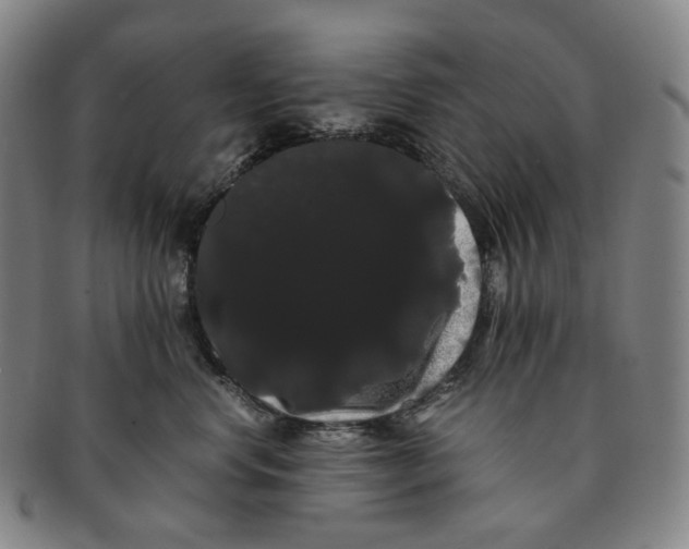 X0000091240668200708301540