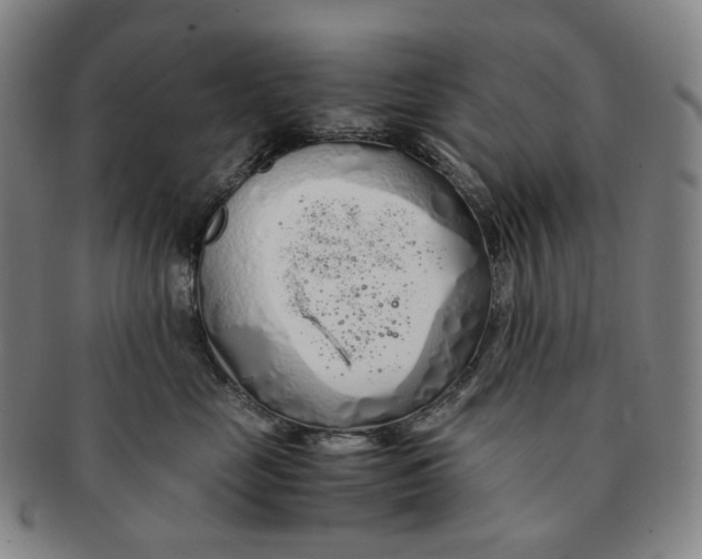 X0000091240669200708301540