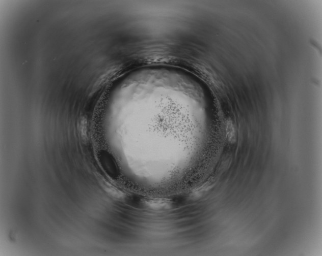 X0000091240670200708301540