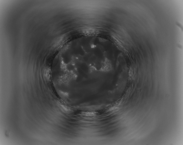 X0000091240671200708301540