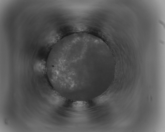 X0000091240672200708301540