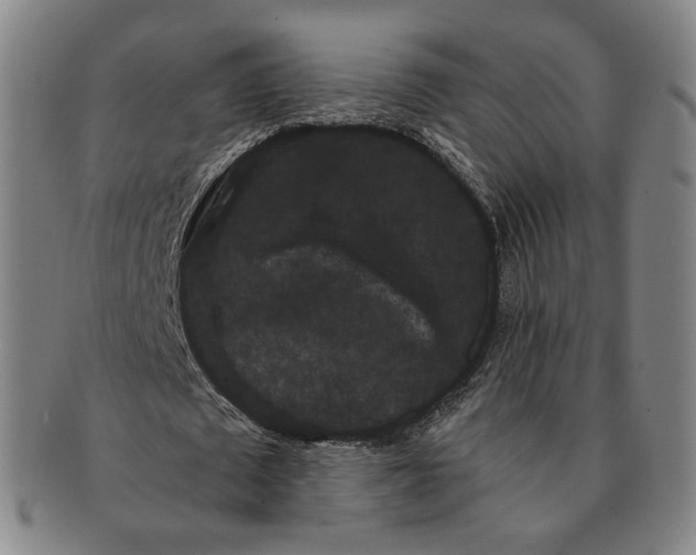 X0000091240673200708301539