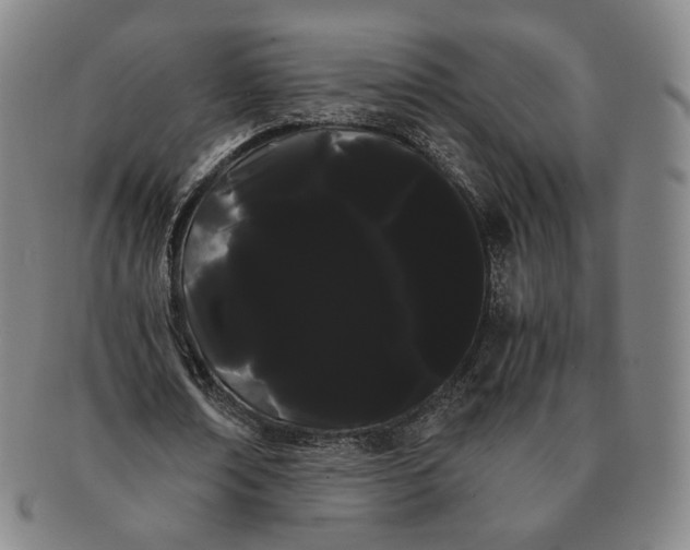 X0000091240674200708301539