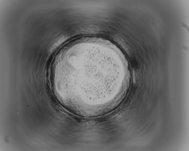 X0000091240675200708301539