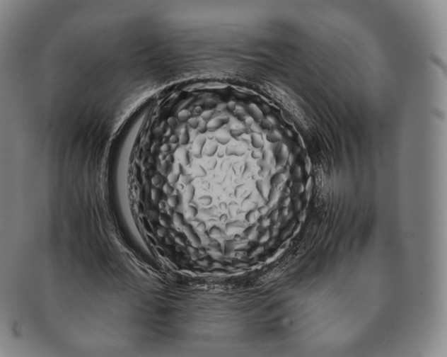 X0000091240676200708301539