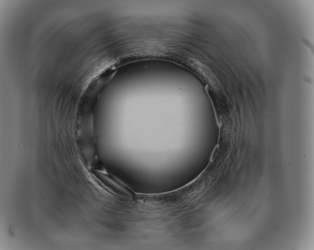 X0000091240677200708301539