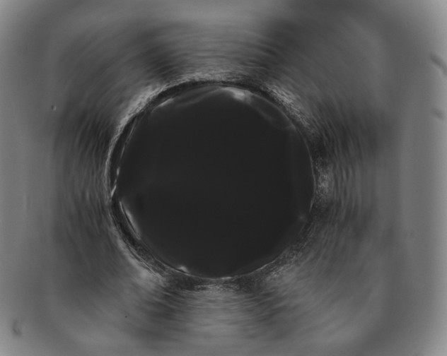 X0000091240678200708301539