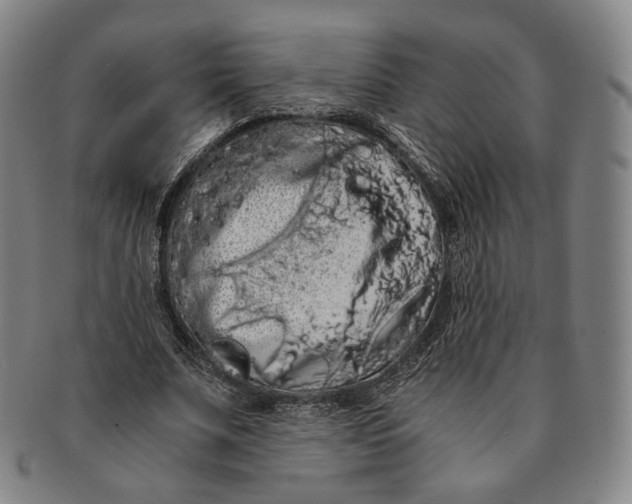 X0000091240679200708301539