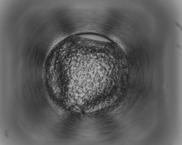 X0000091240680200708301539