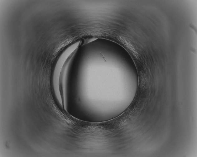 X0000091240681200708301539