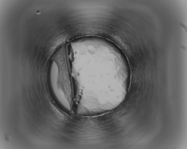 X0000091240683200708301539