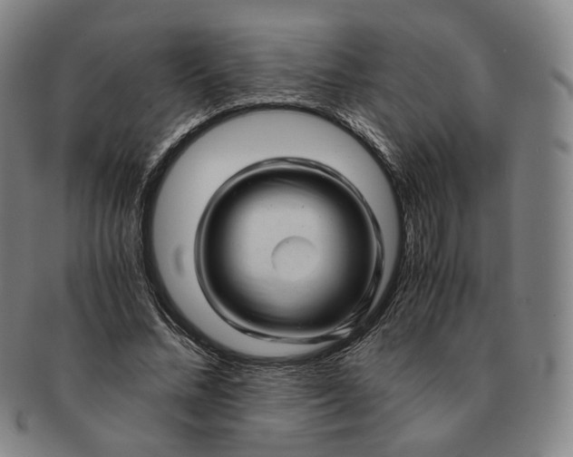 X0000091240684200708301539