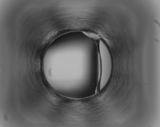 X0000091240685200708301539