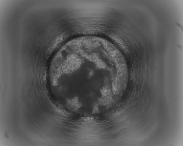 X0000091240687200708301539