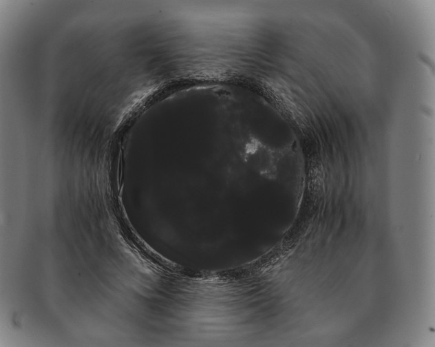 X0000091240688200708301539