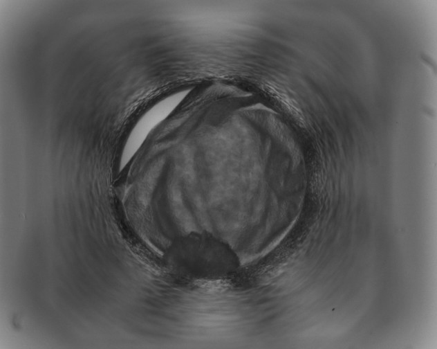 X0000091240689200708301539