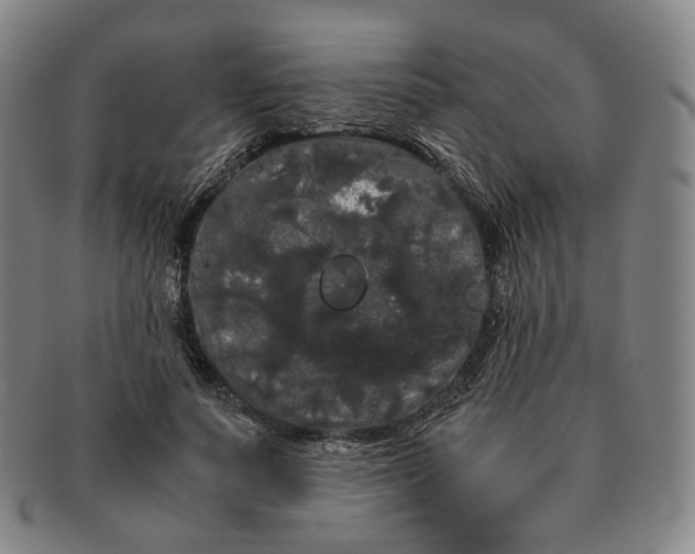 X0000091240691200708301539