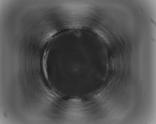 X0000091240692200708301539