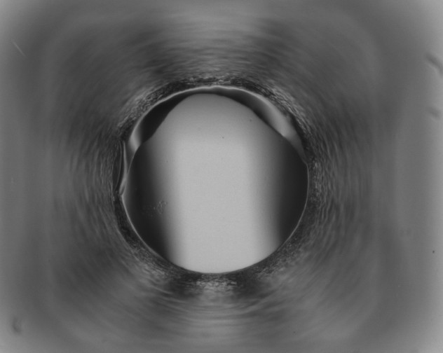 X0000091240693200708301539