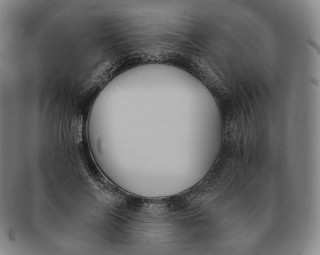 X0000091240694200708301539