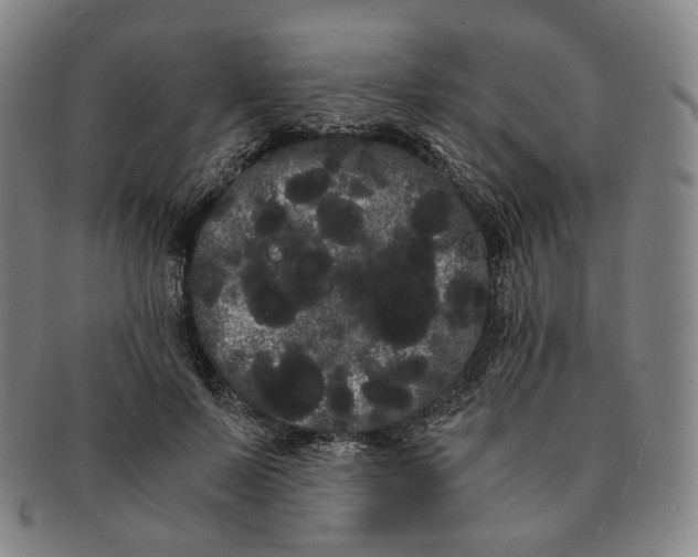 X0000091240695200708301539