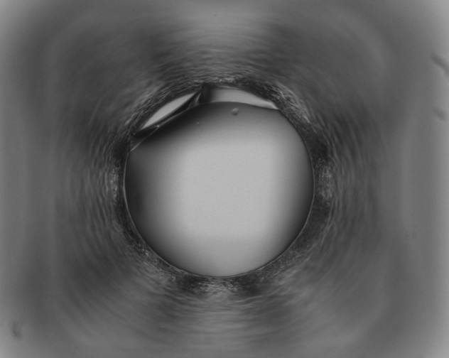 X0000091240697200708301539