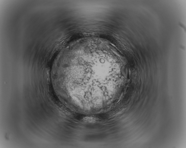 X0000091240699200708301539