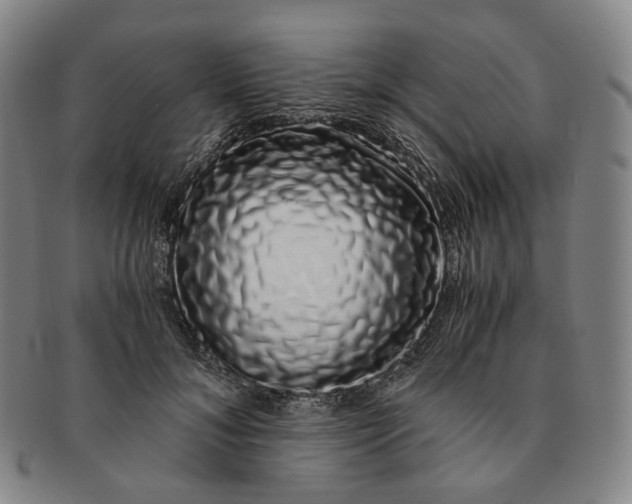 X0000091240700200708301539