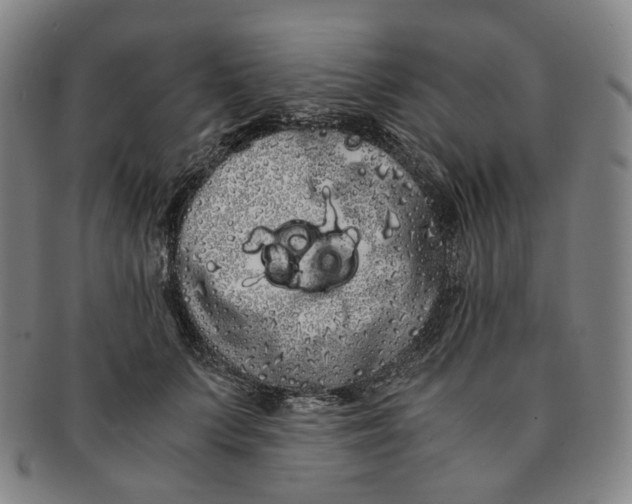 X0000091240703200708301539