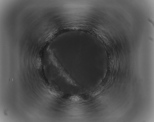 X0000091240704200708301539