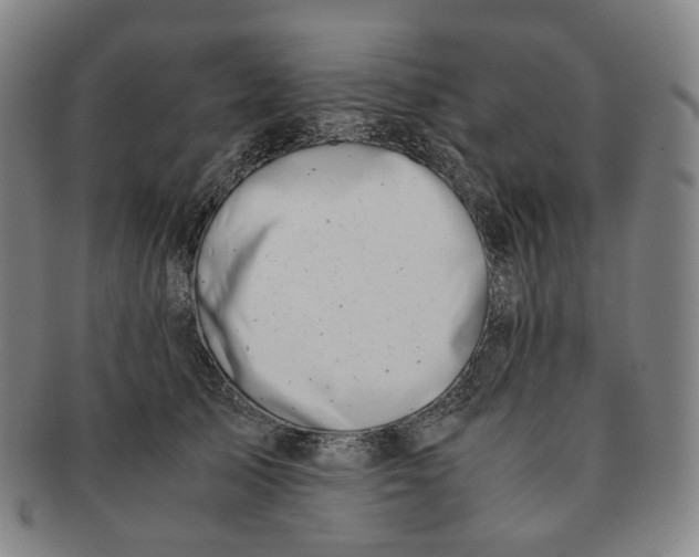 X0000091240705200708301539