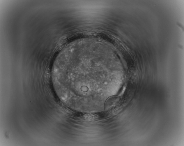 X0000091240707200708301539