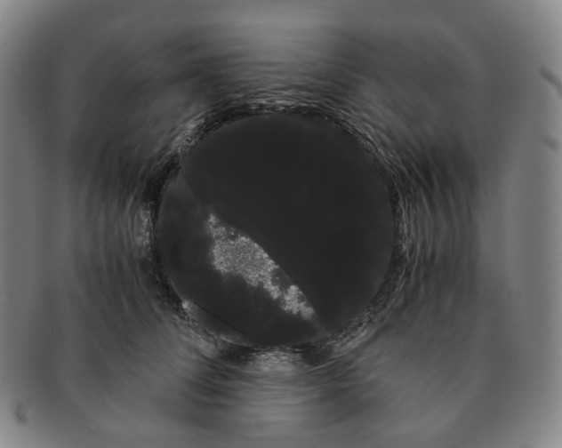 X0000091240708200708301539