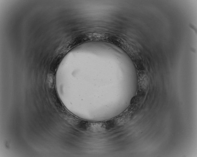 X0000091240709200708301539