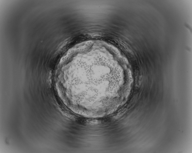 X0000091240710200708301539