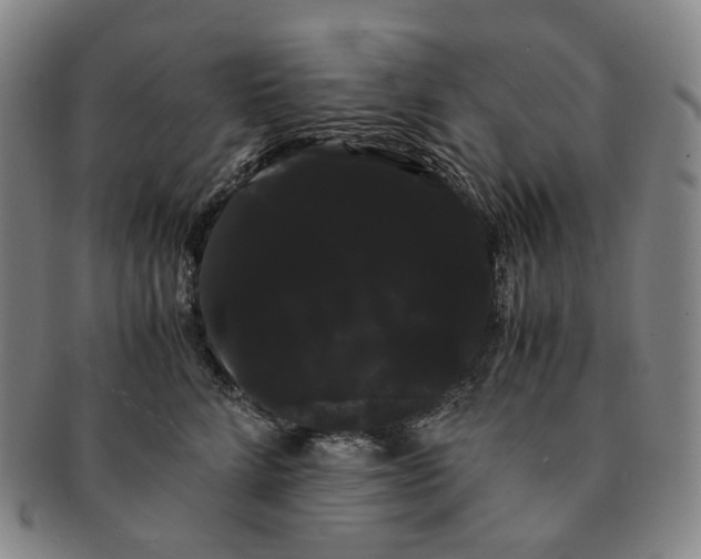 X0000091240712200708301539