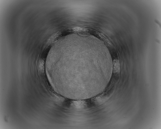 X0000091240713200708301539