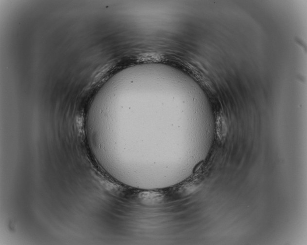 X0000091240714200708301539